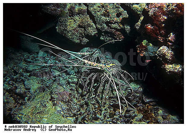 ����� ����, ��������� �����, ��������� ���, ����������� �������, �����������, ������, ��������, ������, ������, ����, ������, ������, ������, �����, ������, �������, ������, �������, ���, ����, ����� �������, ��������, ��������, ����, ����������, ����������, ����������, �������, ����, �������, ������� �����, �������, �������, ������, ������, ����, ���������, ��������� ����, ���������, �����, ������������, ������������, ���������, ������, �������, ����, ����������, ���������� ��� ����, ���, ���������, ��������� ����������, ���������, ���������, ���������, ��������� ����������, ���������, ��������� �����, ��� �����, ����������, �������, �������, �������, ����, ����, ����, �������, ��������, ��������, �������, �����������, �����������, �����������, ������ ���, ����� ����, �����������, �����������, ���������, �����������