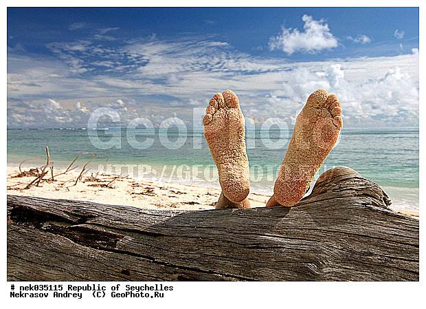 ������, �����, ���������, ����� �� ������ �������� ����, �������, �����������, ����������� �������, �����������, �����������, �����������, �����������, �����, ������, ������, ����, � �����, ���, ���, ����, ������, �������, ������, ���������, ���������, ���������, �������, ������, ����, �� ����, ����, ������, �����, ������������, ���������, ������, �������, ���������, ���������, ���������, �����, ������, ����, ��������, �����, �����, �������� �����, ��������, �������� ����, ����, �����, ����� ����, ���������, ���������, ���������, �����, ������, �����������, ���������, ������, ������, ������, �������, �������, �����������, �����������, �����������, �����������, �����, �����������