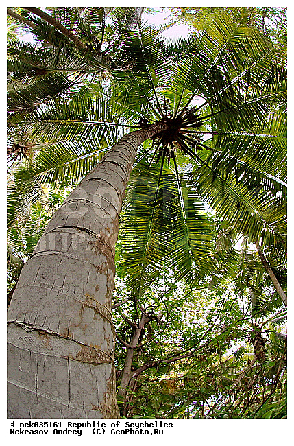 ������, ��������� �����, �����������, ����������� �������, �����������, �����������, ������, �����������, �����������, ���������, �������, ������ ������, ���������, ���������, ���������, ������, ������������, ���������, ������, ������ �����, �������, ���������, ���������, ���������, �����, ������, ������, ������, ������, �������, ���������, ���������, ���������, �����������, ��������, ��������������, �������, �����������, ������, ������, �������, �����������, �����������, �����������, ����������� ���, �����������, ������ � �����, �����, �����, �����������