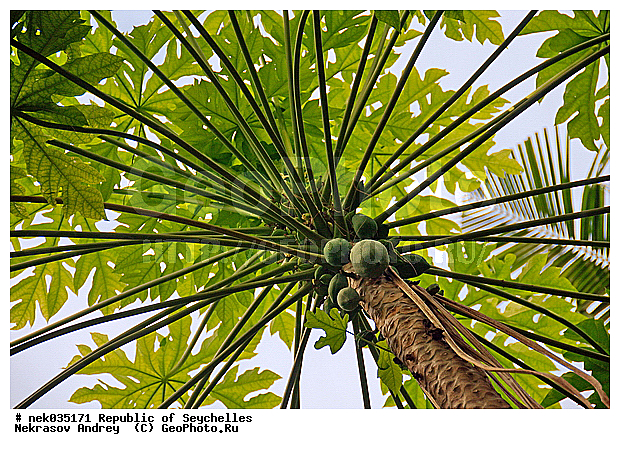 ������, ��������� �����, �����������, ����������� �������, �����������, �����������, ������, �����������, �����������, ���������, �������, ������ ������, ���������, ���������, ���������, ������, ������������, ���������, ������, ������ �����, �������, ���������, ���������, ���������, �����, ������, ������, ������, ������, �������, ���������, ���������, ���������, �����������, ��������, ��������������, �������, �����������, ������, ������, �������, �����������, �����������, �����������, ����������� ���, �����������, ������ � �����, �����, �����, �����������