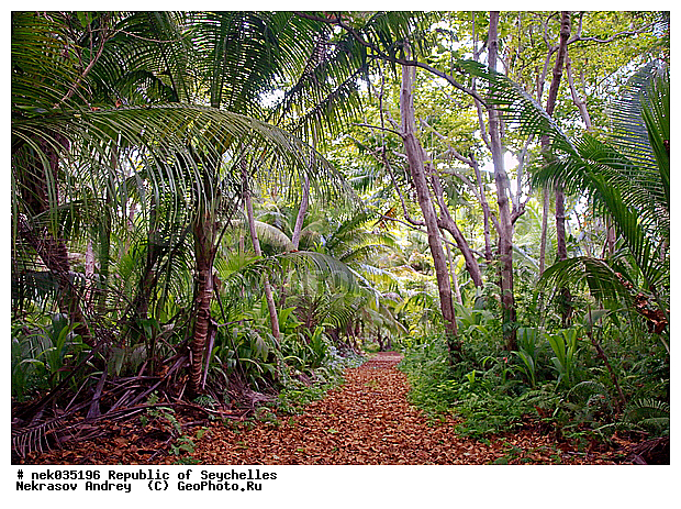 ������, ��������� �����, �����������, ����������� �������, �����������, �����������, ������, �����������, �����������, ���������, �������, ������ ������, ���������, ���������, ���������, ������, ������������, ���������, ������, ������ �����, �������, ���������, ���������, ���������, �����, ������, ������, ������, ������, �������, ���������, ���������, ���������, �����������, ��������, ��������������, �������, �����������, ������, ������, �������, �����������, �����������, �����������, ����������� ���, �����������, ������ � �����, �����, �����, �����������