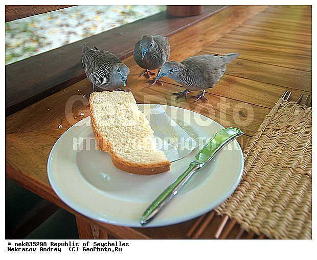 ������, ��������� �����, �����������, ����������� �������, �����������, �����������, ������, �����������, �����������, ���������, ������ ������, ���������, ���������, ���������, ������, ������������, ���������, ������, ������ �����, �������, ���������, ���������, ���������, �����, ������, �������, ���������, ���������, ���������, �����������, �������, �����������, ������, ������, �������, �����������, �����������, �����������, �����������, ������ � �����, �����, �����������