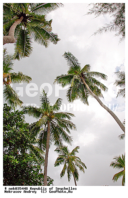 ������, ��������� �����, �����������, ����������� �������, �����������, �����������, ������, �����������, �����������, ���������, �������, ������ ������, �����, ���������, ���������, ���������, ������, ����������, ������������, ���������, ������, ������ �����, �������, ���������, ���������, ���������, �����, ������, ������, ������, ������, �������, ���������, ���������, ���������, �����������, ��������, ��������������, �������, �����������, ������, ������, �������, �����������, �����������, �����������, ����������� ���, �����������, ������ � �����, �����, �����, �����������, ������, ������, ������������, ��������