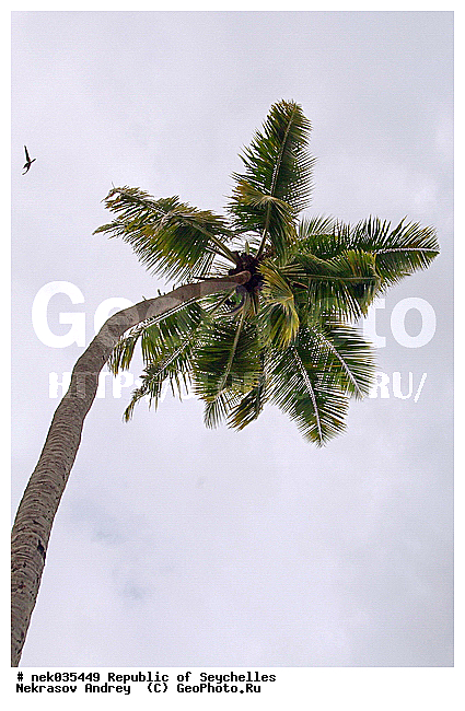 ������, ��������� �����, �����������, ����������� �������, �����������, �����������, ������, �����������, �����������, ���������, �������, ������ ������, �����, ���������, ���������, ���������, ������, ����������, ������������, ���������, ������, ������ �����, �������, ���������, ���������, ���������, �����, ������, ������, ������, ������, �������, ���������, ���������, ���������, �����������, ��������, ��������������, �������, �����������, ������, ������, �������, �����������, �����������, �����������, ����������� ���, �����������, ������ � �����, �����, �����, �����������, ������, ������, ������������, ��������