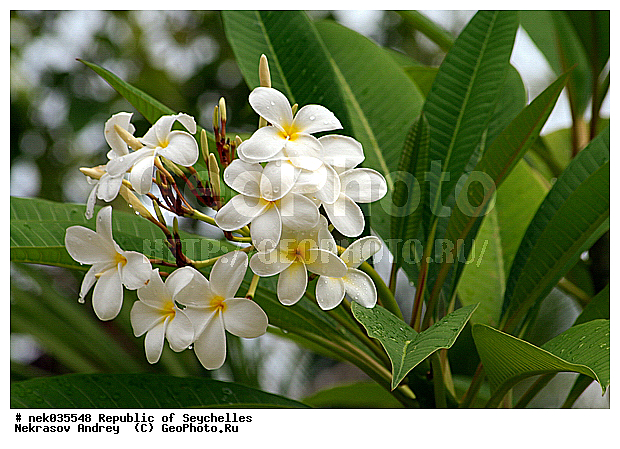 ������, ��������� �����, �����������, ����������� �������, �����������, �����������, ����������� �����, ����������� ������, ������, �����������, �����������, ���������, �������, ������ ������, �����, ���������, ���������, ���������, ������, ����������, ������������, ���������, ������, ������ �����, �������, ���������, ���������, ���������, �����, ������, ������, ������, ������, �������, ���������, ���������, ���������, �����������, ��������, ��������������, �������, �����������, ������, ������, �������, �����������, �����������, �����������, ����������� ���, �����������, ������ � �����, �����, �����, �����������, ������, ������, ������������, ��������