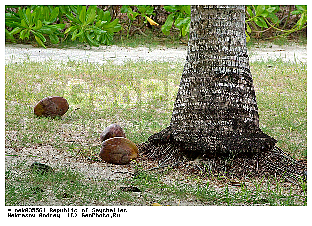 ������, ��������� �����, �����, ������, �����������, ����������� �������, �����������, �����������, ������, �����������, �����������, ���������, �������, ������ ������, �����, ������, ���������, ���������, ���������, ����, ������� ���������, ������� ������, �����, ����������, ������, ���������, ������, ����������, ������������, ���������, ������, ������ �����, �������, ���������, ���������, ���������, �����, ������, ������, ������, ������, �������, �������, ���������, ���������, ���������, �����������, ��������, ��������������, �������, �����������, ������, ������, �������, �����������, �����������, �����������, ����������� ���, �����������, ������ � �����, �����, �����, �����������, �������, ������, ������, ������������, ��������