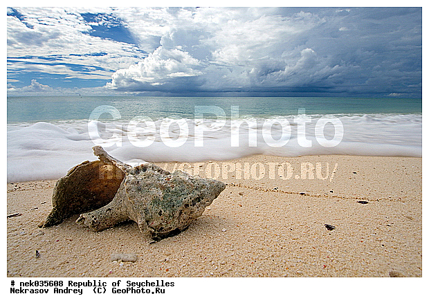 ������, ��������� �����, ����� �� ������ �������� ����, �����������, ����������� �������, �����������, �����������, ������, �����������, �����������, �����, ��������� �����, ����, ���������, �������, ������ ������, �����, ������, ���������, ���������, ���������, �������, ����, ������, ����������, ������, �����, ������������, ���������, ������, ������ �����, �������, ���������, ���������, ���������, �����, ������, ������, ������, ������, �������� ������, �����, �����, �������� �����, �������� ����, ����, �����, ����� ����, �������, ���������, ���������, ���������, �����������, �������, ������� �� �����, ��������, ��������������, �������, �����������, ������, ������, �������, �����������, �����������, �����������, ����������� ���, �����������, ������ � �����, �����, �����, �����������, ������, ������, ������������, ��������