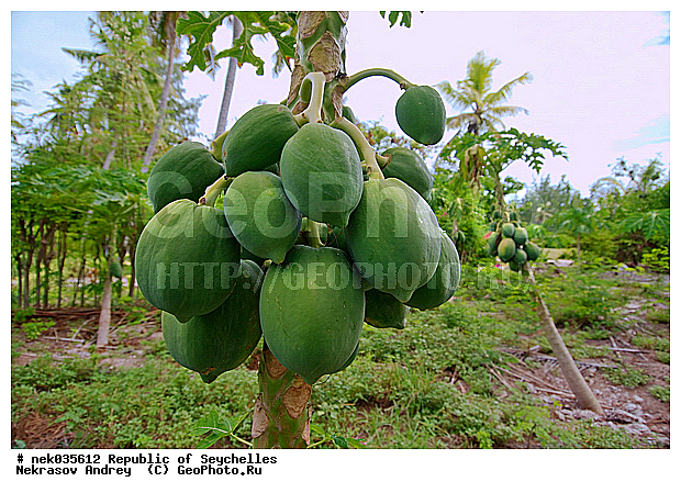 ������, ��������� �����, �����, ������, �����������, ����������� �������, �����������, �����������, ������, �����������, �����������, ���������, �������, ������ ������, �����, ������, ���������, ���������, ���������, ����, ������� ���������, ������� ������, �����, ����������, ������, ���������, ������, ����������, ������������, ���������, ������, ������ �����, �������, ���������, ���������, ���������, �����, ������, ������, ������, ������, �������, �������, ���������, ���������, ���������, �����������, ��������, ��������������, �������, �����������, ������, ������, �������, �����������, �����������, ����������� �����, �����������, ����������� ���, ����������� ����, �����������, ������ � �����, �����, �����, �����������, �������, ������, ������, ������������, ��������