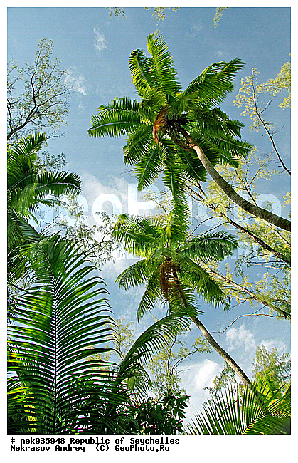 ������, ��������� �����, �����������, ����������� �������, �����������, �����������, ������, �����������, �����������, ���������, �������, ������ ������, �����, ���������, ���������, ���������, ������, ����������, ������������, ���������, ������, ������ �����, �������, ���������, ���������, ���������, �����, ������, ������, ������, ������, �������, ���������, ���������, ���������, �����������, ��������, ��������������, �������, �����������, ������, ������, �������, �����������, �����������, �����������, ����������� ���, �����������, ������ � �����, �����, �����, �����������, ������, ������, ������������, ��������