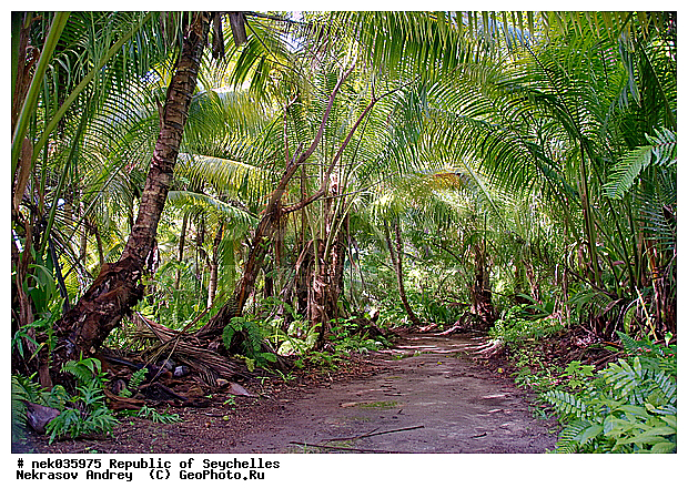 ������, ��������� �����, �����������, ����������� �������, �����������, �����������, ������, �����������, �����������, ���������, �������, ������ ������, �����, ���������, ���������, ���������, ������, ����������, ������������, ���������, ������, ������ �����, �������, ���������, ���������, ���������, �����, ������, ������, ������, ������, �������, ���������, ���������, ���������, �����������, ��������, ��������������, �������, �����������, ������, ������, �������, �����������, �����������, �����������, ����������� ���, �����������, ������ � �����, �����, �����, �����������, ������, ������, ������������, ��������