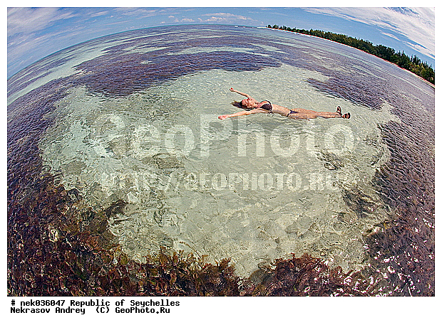 ������, ��������� �����, ����� �� ������ �������� ����, �����������, ����������� �������, �����������, �����������, ������, �����������, �����������, �����, ��������� �����, ����, ���������, �������, ������� ����� �� ����, �������, ������ ������, �����, ������, ���������, ���������, ���������, �������, �����, ����� �� ����, ����, ������, ����������, ������, �����, ������������, ���������, ������, ������ �����, �������, ���������, ���������, ���������, �����, ������, ������, ������, ������, �������� ������, �����, �����, �������� �����, �������� ����, ����, �����, ����� ����, �������, ���������, ���������, ���������, �����������, ��������, ��������������, �������, �����������, ������, ������, �������, �����������, �����������, �����������, ����������� ���, �����������, ������ � �����, �����, �����, �����������, ������, ������, ������������, ��������