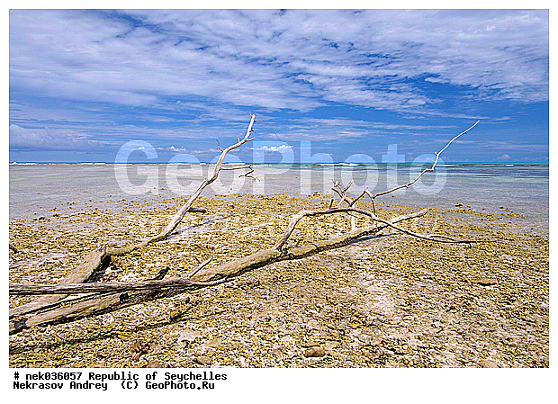 ������, ��������� �����, ����� �� ������ �������� ����, �����������, ����������� �������, �����������, �����������, ������, �����������, �����������, �����, ��������� �����, ����, ���������, �������, ������ ������, �����, ������, ���������, ���������, ���������, �������, ����, ������, ����������, ������, �����, ������������, ���������, ������, ������ �����, �������, ���������, ���������, ���������, �����, ������, ������, ������, ������, �������� ������, �����, �����, �������� �����, �������� ����, ����, �����, ����� ����, �������, ���������, ���������, ���������, �����������, ��������, ��������������, �������, �����������, ������, ������, �������, �����������, �����������, �����������, ����������� ���, �����������, ������ � �����, �����, �����, �����������, ������, ������, ������������, ��������