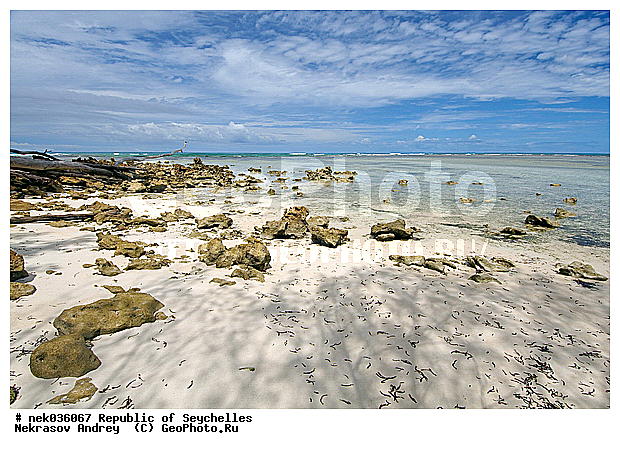 ������, ��������� �����, ����� �� ������ �������� ����, �����������, ����������� �������, �����������, �����������, ������, �����������, �����������, �����, ��������� �����, ����, ���������, �������, ������ ������, �����, ������, ���������, ���������, ���������, �������, ����, ������, ����������, ������, �����, ������������, ���������, ������, ������ �����, �������, ���������, ���������, ���������, �����, ������, ������, ������, ������, �������� ������, �����, �����, �������� �����, �������� ����, ����, �����, ����� ����, �������, ���������, ���������, ���������, �����������, ��������, ��������������, �������, �����������, ������, ������, �������, �����������, �����������, �����������, ����������� ���, �����������, ������ � �����, �����, �����, �����������, ������, ������, ������������, ��������