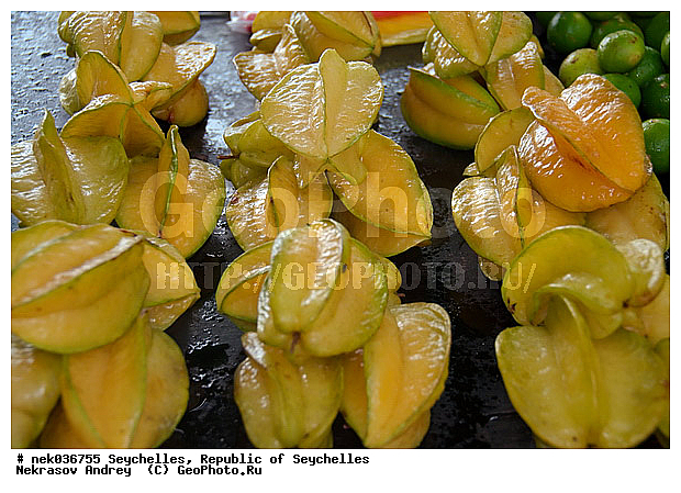 Averrhoa, Averrhoa carambola, Coco, Cocos, Cocos nucifera, ferre, ����������, ��������� �����, ���������, ���������������, ���������, �����, ��������� ������, ������, �����������, ���������, �������������, �����, ���������������, ��������, ����������� �������, ������, ���������, ������ ������, ���������, ��������� ����, ������, ����, ������, ������ ���, �����, ����, �������, �����������, ��������, �������, ��������, ���������, ������, ������, ������ � �����, �����