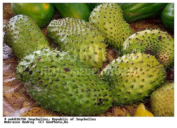 Corasol, sour soup, ��������� �����, �����, ��������, ���������, ����������� �������, ������, ���������, ������ ������, ������, ������, ������ ���, �����, ����, �������, �����������, �������, ������, ������, ������ � �����, �����, ������