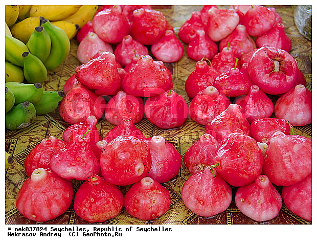 Jamalaque, ������, ��������� �����, �����, ��������, ���������, �����������, ����������� �������, �����������, �����������, ����������� ������, ������, �����������, �����������, ���������, ������ ������, �����, ���������, ���������, ���������, ������, ����������, ������������, ���������, ������, ������ ���, �������, ���������, ���������, ���������, �����, ������, ����, �������, ���������, ���������, ���������, �����������, �������, �����������, ������, ������, �������, �����������, �����������, ����������� �����, �����������, ����������� ����, �����������, ������ � �����, �����, ������, �����, �����������, ������, ������, ������������, ��������