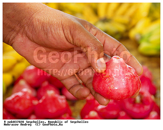 Jamalaque, ������, ��������� �����, �����, ��������, ���������, �����������, ����������� �������, �����������, �����������, ����������� ������, ������, �����������, �����������, ���������, ������ ������, �����, ���������, ���������, ���������, ������, ����������, ������������, ���������, ������, ������ ���, �������, ���������, ���������, ���������, �����, ������, ����, �������, ���������, ���������, ���������, �����������, �������, �����������, ������, ������, �������, �����������, �����������, ����������� �����, �����������, ����������� ����, �����������, ������ � �����, �����, ������, �����, �����������, ������, ������, ������������, ��������