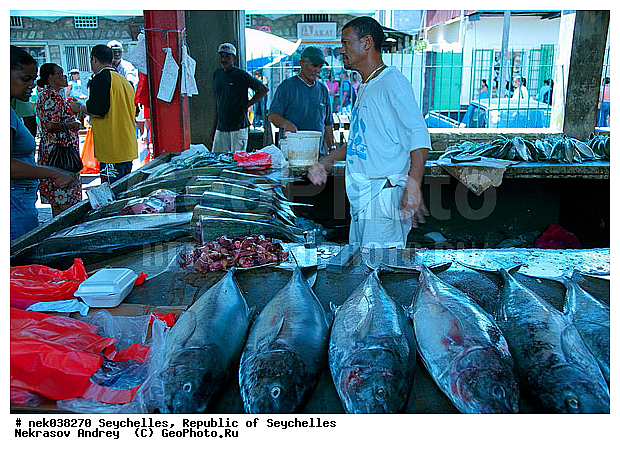 ������, ��������, ��������� �����, �����, ������, �����������, ����������� �������, �����������, �����������, ������, �����������, �����������, ���������, �����, ������ ������, �����, ����� ������, ������, ���������, ���������, ���������, ����, ������� ���������, ������� ������, �����, ����������, ������, ���������, ������, ����������, ������������, ���������, ������, ������ ���, �������, ���������, ���������, ���������, �����, ������, ���� ��������, �������, �������, ���������, ���������, ���������, �����������, �������, �����������, �������, ������� ��������, ������, ������, �������, �����������, �����������, �����������, �����������, ������ � �����, �����, �����, �����, �����������, �������, ������, ������, ������������, ��������