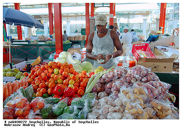 ������, ��������, ��������� �����, �����, ������, �����������, ����������� �������, �����������, �����������, ������, �����������, �����������, ���������, �����, ������ ������, �����, ����� ������, ������, ���������, ���������, ���������, ����, ������� ���������, ������� ������, �����, ����������, ������, ���������, ������, ����������, ������������, ���������, ������, ������ ���, �������, ���������, ���������, ���������, �����, ������, ���� ��������, �������, �������, ���������, ���������, ���������, �����������, �������, �����������, �������, ������� ��������, ������, ������, �������, �����������, �����������, �����������, �����������, ������ � �����, �����, �����, �����, �����������, �������, ������, ������, ������������, ��������