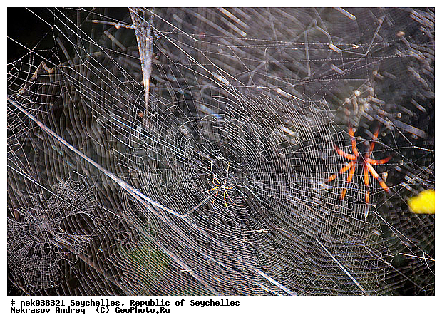 ������, ��������� �����, �����������, ����������� �������, �����������, �����������, ������, �����������, �����������, ���������, ������ ������, �����, ���������, ���������, ���������, ������, ����������, ������������, ���������, ������, ������ ���, �������, ���������, ���������, ���������, �����, ������, �������, ���������, ���������, ���������, �����������, �������, �����������, ������, ������, �������, �����������, �����������, �����������, �����������, ������ � �����, �����, �����������, ������, ������, ������������, ��������