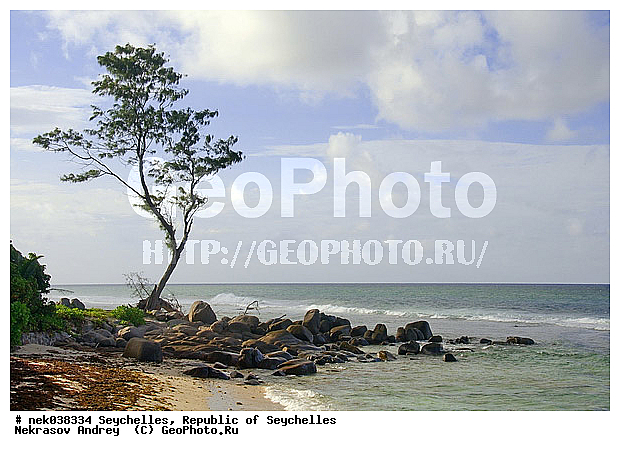 ������, ��������� �����, �����������, ����������� �������, �����������, �����������, ������, �����������, �����������, ���������, ������ ������, �����, ���������, ���������, ���������, ������, ����������, ������������, ���������, ������, ������ ���, �������, ���������, ���������, ���������, �����, ������, �������, ���������, ���������, ���������, �����������, �������, �����������, ������, ������, �������, �����������, �����������, �����������, �����������, ������ � �����, �����, �����������, ������, ������, ������������, ��������