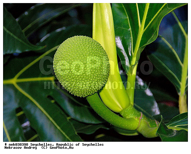 ������, ��������� �����, ���, �����������, ����������� �������, �����������, �����������, ������, �����������, �����������, ���������, ������ ������, �����, ���������, ���������, ���������, ������, ����������, ������������, ���������, ������, ������ ���, �������, ���������, ���������, ���������, �����, ������, �������, ���������, ���������, ���������, �����������, �������, �����������, ������, ������, �������, �����������, �����������, ����������� �����, �����������, ����������� ����, �����������, ������ � �����, �����, �����������, ������, ������, ������������, ��������