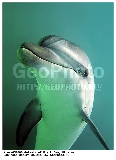 ������� �������������, ��������� ���, �������, ������� ����, ������ ����, ������, ������ ����, �����������, ������, ��������, �, ���, ����, ������, ������, �����, ������, �������, ������, �������, �������, ��������, ���, ����� �������, ��������, ��������, ����� ����, ����, ����, ����, �������, ������� �����, �������, �������, ��, ���������, ��������� ����, ���������, �����, ����������, ���������� ��� ����, ���, ���������, ��������� ����������, ���������, ���������, ���������, ��������� ����������, ���������, ��������� �����, ��� �����, ��������, ����������, ������������, ������������, ������������