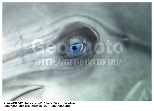 ������� �������������, ��������� ���, �������, ������� ����, ������ ����, ������, ������ ����, �����������, ������, ��������, �, ������, ���, ����, ������, ������, ������, �����, ����, �����, ������, �������, ������, �������, �������, ��������, ���, ����� �������, ��������, ��������, ����� ����, ������, ����, ����, ����, �������, ������� �����, �������, �������, ��, ���������, ��������� ����, ���������, �����, ����������, ���������� ��� ����, ���, ���������, ��������� ����������, ���������, ���������, ���������, ��������� ����������, ���������, ��������� �����, ��� �����, ����������, ��������, ������������, ������������, ������������