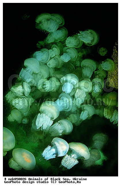 ��������� ���, �������, ������� ����, ������ ����, ������, ������ ����, �����������, ������, ��������, �, ���, ����, ������, ������, ������, �����, ������, �������, ������, �������, ���, ����� �������, ��������, ��������, ����� ����, ����, ����, ����, �������, ������� �����, �������, �������, ��, ���������, ��������� ����, ���������, �����, ����������, ���������� ��� ����, ���, ���������, ��������� ����������, ���������, ���������, ���������, ��������� ����������, ���������, ��������� �����, ��� �����, ����������, ������������, ������������, ������������