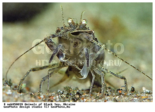 ��������� ���, �������, ������� ����, ������ ����, ������, ������ ����, �����������, ������, ��������, �, ���, ����, ������, ������, ������, �����, ������, �������, ������, �������, ���, ����� �������, ��������, ��������, ����� ����, ����, ����, �����, �����������, �����, ��������, ����, �������, ������� �����, �������, �������, ��, ���������, ��������� ����, ���������, �����, ����������, ���������� ��� ����, ���, ���������, ��������� �����������, ��������� ����������, ���������, ���������, ���������, ��������� ����������, ���������, ��������� �����, ��� �����, ����������, ������������, ������������, ������������