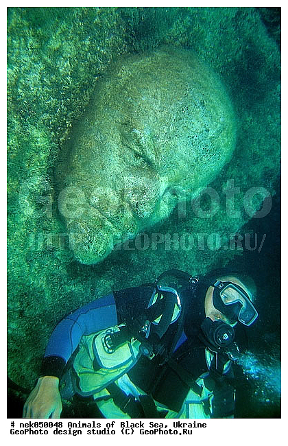 ����, ��������, ���������, ���������, �����, ������, ������, ��������� ���, �������, ������� ����, ������ ����, ������, ������ ����, �����������, ���� ������, ���, ������, ��������, �, ���, ����, ������, ������, ������, �����, ������, �����, ������, �������, ������, �������, ���, ����� �������, ��������, ��������, ����� ����, �����������, ���������������, �������������, �������������, ��������, ������������, �������, ����, ��������, ��������, ��������, ����, ��������, ��������������, ��������������, ���������, ����, �������, ������� �����, �������, �������, �����, ��, ���������, ��������� ����, ���������, �����, ��������, ���������, �������, ����������, ���������� ��� ����, ���, ���������, ��������� ����������, ���������, ���������, ���������, ��������� ����������, ���������, ��������� �����, ��������� �����, ��� �����, ����������, ������������, ������������, ���������, ����������, ������������, ����������, ��������������, ������������, ������������, ������������