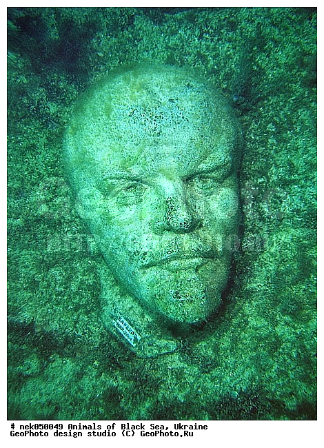 ����, ��������, ���������, ���������, �����, ������, ������, ��������� ���, �������, ������� ����, ������ ����, ������, ������ ����, �����������, ���� ������, ���, ������, ��������, �, ���, ����, ������, ������, ������, �����, ������, �����, ������, �������, ������, �������, ���, ����� �������, ��������, ��������, ����� ����, �����������, ���������������, �������������, �������������, ��������, ������������, �������, ����, ��������, ��������, ��������, ����, ��������, ��������������, ��������������, ���������, ����, �������, ������� �����, �������, �������, �����, ��, ���������, ��������� ����, ���������, �����, ��������, ���������, �������, ����������, ���������� ��� ����, ���, ���������, ��������� ����������, ���������, ���������, ���������, ��������� ����������, ���������, ��������� �����, ��������� �����, ��� �����, ����������, ������������, ������������, ���������, ����������, ������������, ����������, ��������������, ������������, ������������, ������������