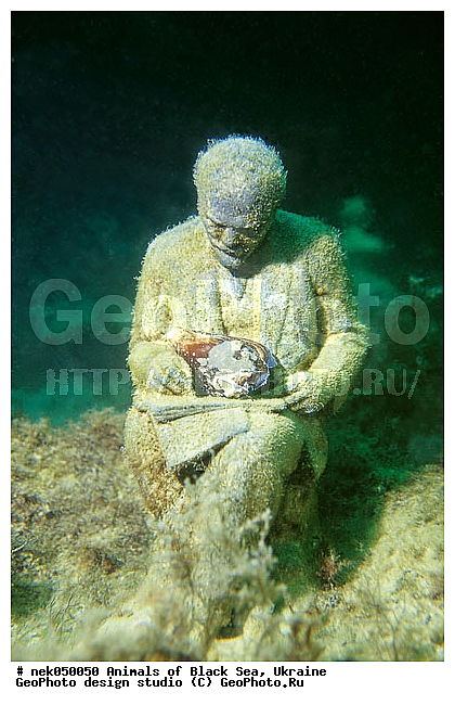 ����, ��������, ���������, ���������, �����, ������, ������, ��������� ���, �������, ������� ����, ������ ����, ������, ������ ����, �����������, ���� ������, ���, ������, ��������, �, ���, ����, ������, ������, ������, �����, ������, �����, ������, �������, ������, �������, ���, ����� �������, ��������, ��������, ����� ����, �����������, ���������������, �������������, �������������, ��������, ������������, �������, ����, ��������, ��������, ��������, ����, ��������, ��������������, ��������������, ���������, ����, �������, ������� �����, �������, �������, �����, ��, ���������, ��������� ����, ���������, �����, ��������, ���������, �������, ����������, ���������� ��� ����, ���, ���������, ��������� ����������, ���������, ���������, ���������, ��������� ����������, ���������, ��������� �����, ��������� �����, ��� �����, ����������, ������������, ������������, ���������, ����������, ������������, ����������, ��������������, ������������, ������������, ������������