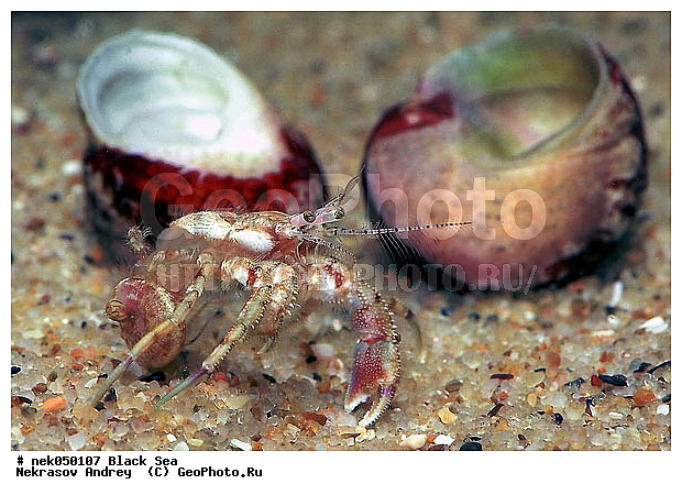 ��������� ���, ������ ����, ������, �, ���, ����, ������, ������, �����, ���, ����� ����, �����, �����������, �����, ��������, ����, �������, ��, ���, ���������, ��������� �����������, ��������� ������, ���������, ���������, ���������, ��������, ������������, ������������, ������������