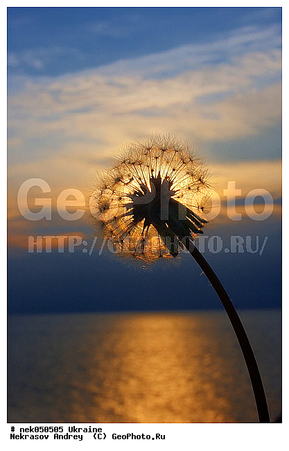 �������� �������, ������, �������, ������ ����, ���������, ������ ������, ����, ������, ������, ������ ������, ������ �����, ������ �������, �����, �������, �����������, ������, ������, ����� �������, ������ � �����