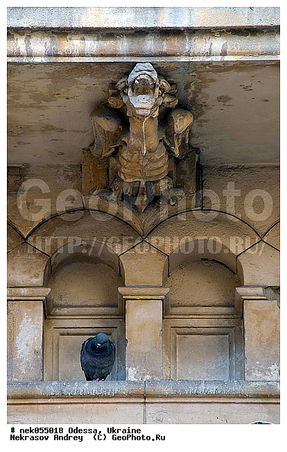 ������, �������� ����������, �������, �����������, �����, ��������� ��������, ����, ������, ������ �����, ������ �����, �����, ����������