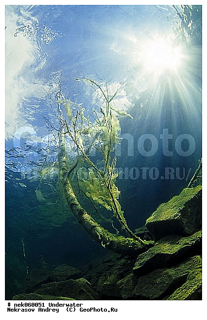 �������, ����������� ���, ��������� ���, �������, �����������, ������, ������, ������, ��������, ����, ������, ������, ������, ������, �����, ������, �������, ������, �������, ������, �������, ����� �������, ��������, ��������, ����������� ���, ����, ����, ���, ������� �����, �������, �������, ���������, ��������� ����, ���������, �����, �����, �������, ����������, ���������� ��� ����, ���, ���������, ��������� ����������, ���������, ���������, ���������, ��������� ����������, ���������, ��������� �����, ��� �����, ������� ����, ����������, ����, ����. ����