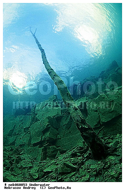 �������, ����������� ���, ��������� ���, �������, �����������, ������, ������, ������, ��������, ����, ������, ������, ������, ������, �����, ������, �������, ������, �������, ������, �������, ����� �������, ��������, ��������, ����������� ���, ����, ����, ���, ������� �����, �������, �������, ���������, ��������� ����, ���������, �����, �����, �������, ����������, ���������� ��� ����, ���, ���������, ��������� ����������, ���������, ���������, ���������, ��������� ����������, ���������, ��������� �����, ��� �����, ������� ����, ����������, ����, ����. ����