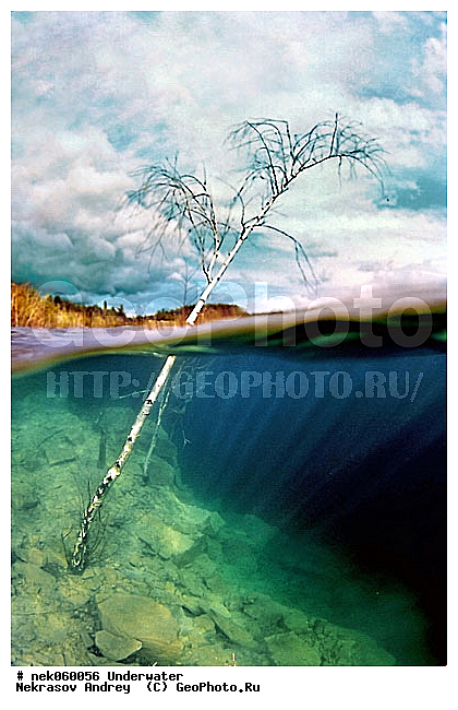 �������, ����������� ���, ��������� ���, �������, �����������, ������, ������, ������, ��������, ����, ������, ������, ������, ������, �����, ������, �������, ������, �������, ������, �������, ����� �������, ��������, ��������, ����������� ���, ����, ����, ���, ������� �����, �������, �������, ���������, ��������� ����, ���������, �����, �����, �������, ����������, ���������� ��� ����, ���, ���������, ��������� ����������, ���������, ���������, ���������, ��������� ����������, ���������, ��������� �����, ��� �����, ������� ����, ����������, ����, ����. ����, �����