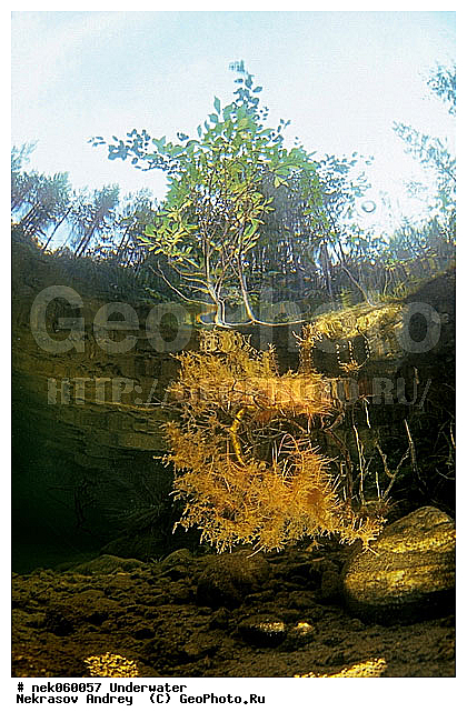 �������, ����������� ���, ��������� ���, �������, �����������, ������, ������, ������, ��������, ����, ������, ������, ������, �����, ������, �������, ������, �������, ������, �������, ����� �������, ��������, ��������, ����������� ���, ����, ����, ���, ������� �����, �������, �������, ���������, ��������� ����, ���������, �����, �����, �������, ����������, ���������� ��� ����, ���, ���������, ��������� ����������, ���������, ���������, ���������, ��������� ����������, ���������, ��������� �����, ��� �����, ��������, ������� ����, ����������, ����, ����. ����