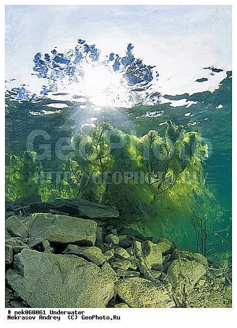 �������, ����������� ���, ��������� ���, �������, �����������, ������, ��������, ����, ������, ������, ������, �����, ������, �������, ������, �������, ������, �������, ���, ����, ���, ����� �������, ��������, ��������, ����������� ���, ����, ����, ������� �����, �������, �������, ���������, ��������� ����, ���������, �����, �����, �������, ����������, ���������� ��� ����, ���, ���������, ��������� ����������, ���������, ���������, ���������, ��������� ����������, ���������, ��������� �����, ��� �����, ��������, ������� ����, ����������, ����, ����. ����, �����, �����