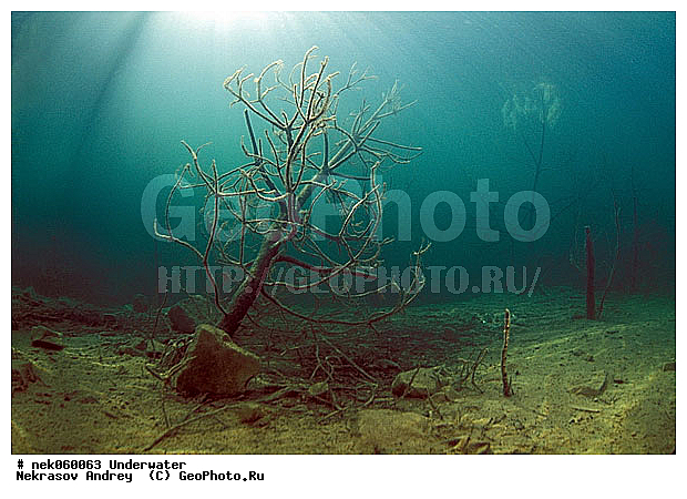 �������, ����������� ���, ��������� ���, �������, �����������, ������, ��������, ����, ������, ������, ������, �����, ������, �������, ������, �������, ������, �������, ���, ����, ���, ����� �������, ��������, ��������, ����������� ���, ����, ����, ������� �����, �������, �������, ���������, ��������� ����, ���������, �����, �����, �������, ����������, ���������� ��� ����, ���, ���������, ��������� ����������, ���������, ���������, ���������, ��������� ����������, ���������, ��������� �����, ��� �����, ��������, ������� ����, ����������, ����, ����. ����, �����, �����