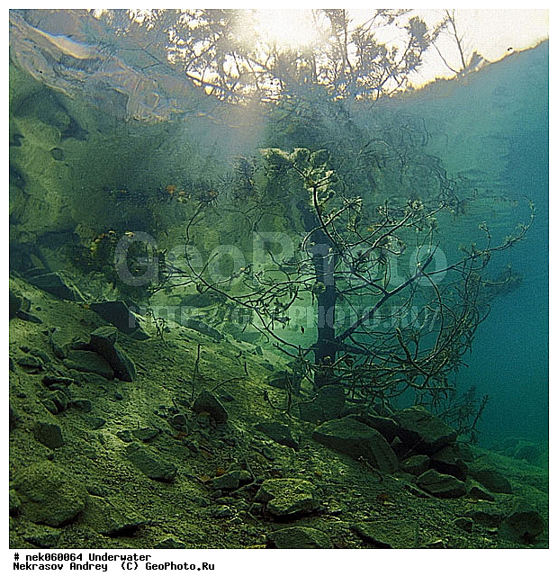 �������, ����������� ���, ��������� ���, �������, �����������, ������, ��������, ����, ������, ������, ������, �����, ������, �������, ������, �������, ������, �������, ���, ����, ���, ����� �������, ��������, ��������, ����������� ���, ����, ����, ������� �����, �������, �������, ���������, ��������� ����, ���������, �����, �����, �������, ����������, ���������� ��� ����, ���, ���������, ��������� ����������, ���������, ���������, ���������, ��������� ����������, ���������, ��������� �����, ��� �����, ��������, ������� ����, ����������, ����, ����. ����, �����, �����