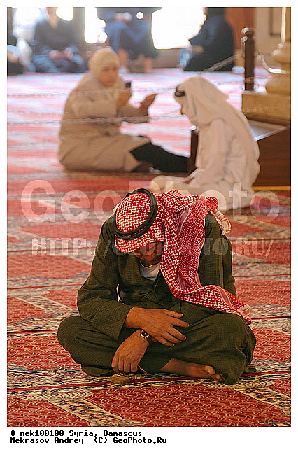 �������, ������� ������, ������, ������, ������, �����������, �����������, �����������, ������, ������ ��������, �����, ����, ���������������, ���������������, ���������������, ���������������, �, ��������, �������, �������, ��, ���������, ���������, ���������, ���������, ���������, ������, �������������, �������������, �������������, �������������, ����, �������