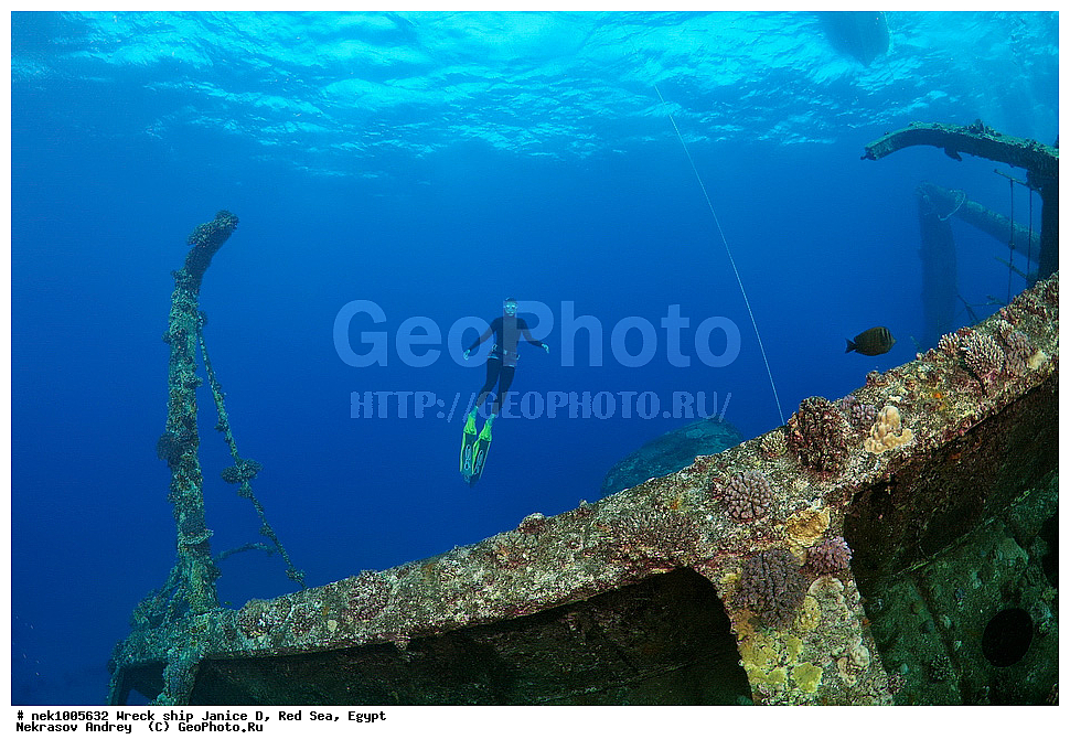 ���������� �����, �����, ������ �, ������� ����, ������, ����, ���, ����, ����, �������, ��������, �����������, ����-��������, Sternoptychidae, , ������, ������, ��������, ���������, ���������, �����, ����������, ���������, ��������, ������, ���, �����, �������, �������������  , ���-������, ���-�������, ���, ���������� �����, ������� ����, ������� ����, ������, ��������, ���������, ����, ����, �������, �����, ����� �� ����, �����, �������, ������ �, ������ ��, ����������, ����������, ����������, ���������� ������, �����������, ������������, �������, ���������������, �������, ��������, ����, �����, ��� �����, ���������, ���������, ���������, ��������� ���, ���, ���-�������, ����, �����, ������