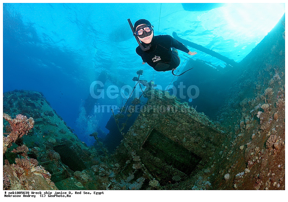 ���������� �����, �����, ������ �, ������� ����, ������, �����, ����������, ���������, ��������, ������, ���, �����, �������, �������������  , ���-������, ���-�������, ���, ���������� �����, ������� ����, ������� ����, ������, ��������, ���������, ����, ����, �������, �����, ����� �� ����, �����, �������, ������ �, ������ ��, ����������, ����������, ����������, ���������� ������, �����������, ������������, �������, ���������������, �������, ��������, ����, �����, ��� �����, ���������, ���������, ���������, ��������� ���, ���, ���-�������, ����, �����, ������