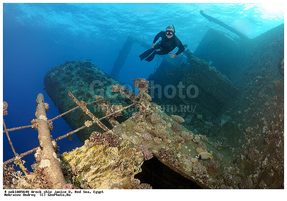 ������ �, ������, ������� ����, �����, ���������� �����, �����, ����������, ���������, ��������, ������, ���, �����, �������, �������������  , ���-������, ���-�������, ���, ���������� �����, ������� ����, ������� ����, ������, ��������, ���������, ����, ����, �������, �����, ����� �� ����, �����, �������, ������ �, ������ ��, ����������, ����������, ����������, ���������� ������, �����������, ������������, �������, ���������������, �������, ��������, ����, �����, ��� �����, ���������, ���������, ���������, ��������� ���, ���, ���-�������, ����, �����, ������