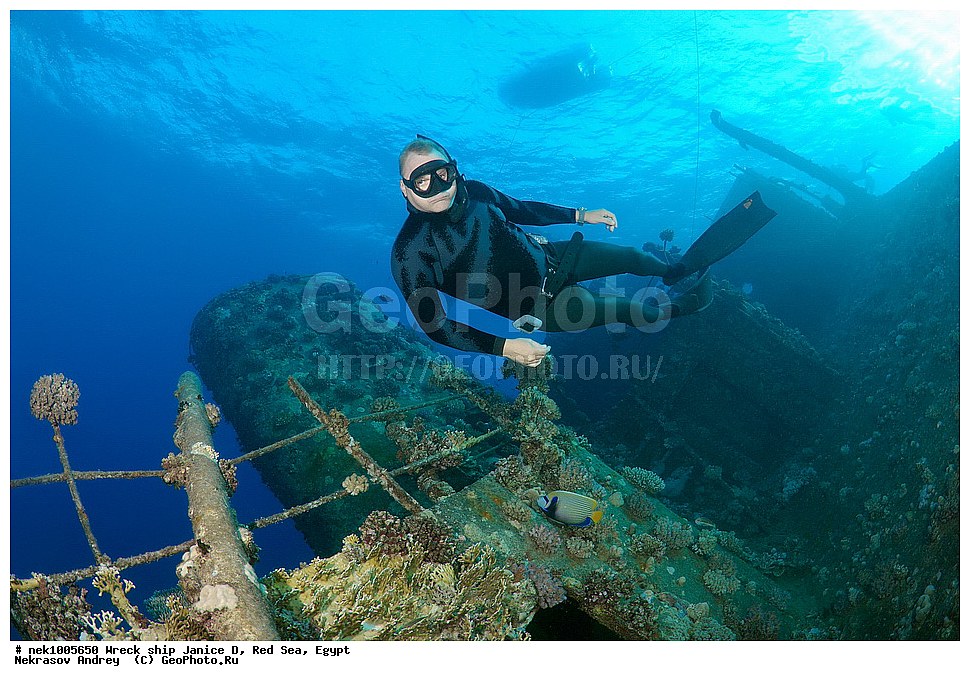 ������ �, ������, ������� ����, �����, ���������� �����, �����, ����������, ���������, ��������, ������, ���, �����, �������, �������������  , ���-������, ���-�������, ���, ���������� �����, ������� ����, ������� ����, ������, ��������, ���������, ����, ����, �������, �����, ����� �� ����, �����, �������, ������ �, ������ ��, ����������, ����������, ����������, ���������� ������, �����������, ������������, �������, ���������������, �������, ��������, ����, �����, ��� �����, ���������, ���������, ���������, ��������� ���, ���, ���-�������, ����, �����, ������