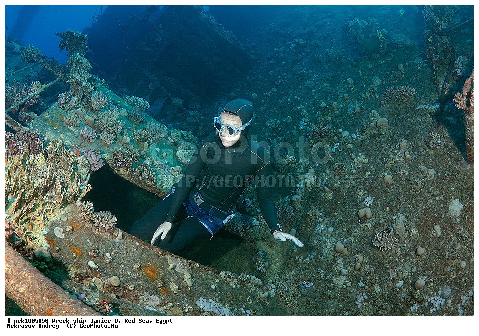 ������ �, ������, ������� ����, �����, ���������� �����, �����, ����������, ���������, ��������, ������, ���, �����, �������, �������������  , ���-������, ���-�������, ���, ���������� �����, ������� ����, ������� ����, ������, ��������, ���������, ����, ����, �������, �����, ����� �� ����, �����, �������, ������ �, ������ ��, ����������, ����������, ����������, ���������� ������, �����������, ������������, �������, ���������������, �������, ��������, ����, �����, ��� �����, ���������, ���������, ���������, ��������� ���, ���, ���-�������, ����, �����, ������