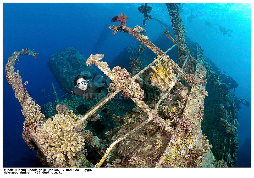 ������ �, ������, ������� ����, �����, ���������� �����, �����, ����������, ���������, ��������, ������, ���, �����, �������, �������������  , ���-������, ���-�������, ���, ���������� �����, ������� ����, ������� ����, ������, ��������, ���������, ����, ����, �������, �����, ����� �� ����, �����, �������, ������ �, ������ ��, ����������, ����������, ����������, ���������� ������, �����������, ������������, �������, ���������������, �������, ��������, ����, �����, ��� �����, ���������, ���������, ���������, ��������� ���, ���, ���-�������, ����, �����, ������